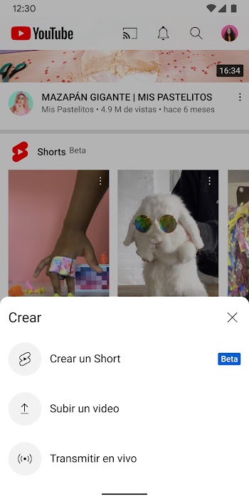 youtube premium apk