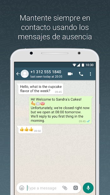 whatsapp business apk