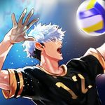 Icon The Spike - Volleyball Story APK